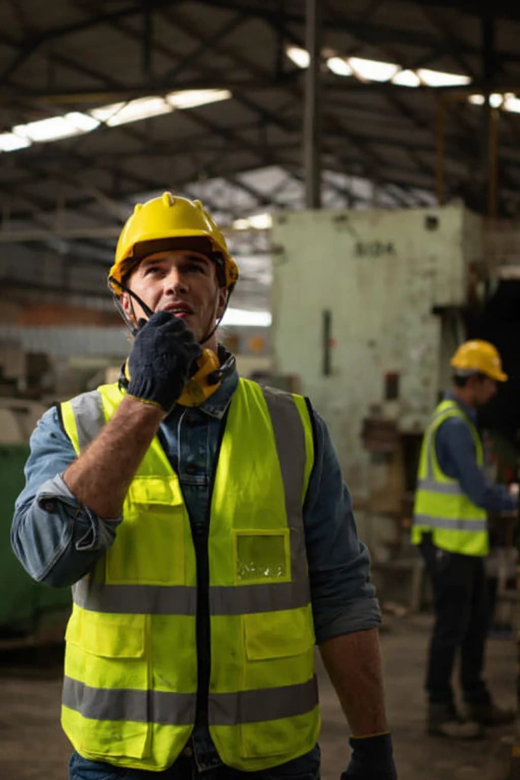 Benefits of Pigeons and Birds Control