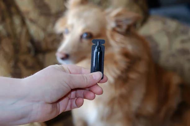 Benefits of Fleas and Ticks Control
