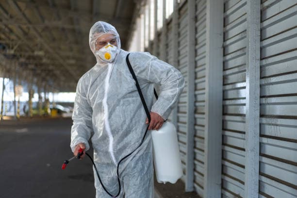 Benefits of Termites Control