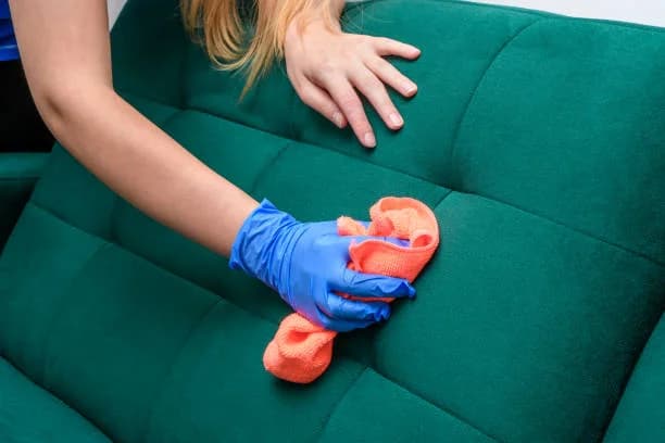 Upholstery Cleaning Services