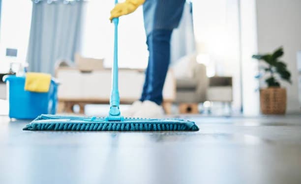 Maid Cleaning Challenges