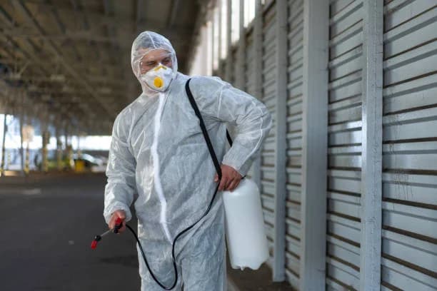 Benefits of Termites Control